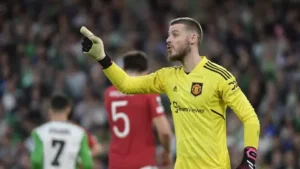 profil-lengkap-pemain-bola-david-de-gea-kiper-andal-manchester-united