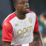 Denis Zakaria: Profil dan Peran Pemain Bola Dunia